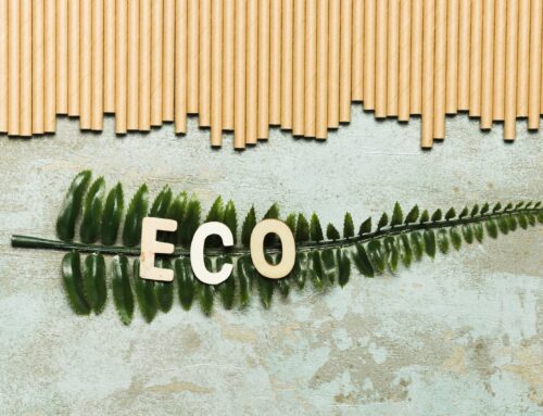Modern Trends in Sustainable Building Practices
